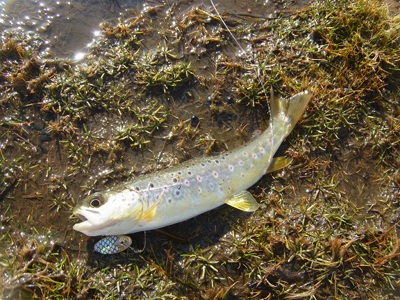 RIMG0104.JPG