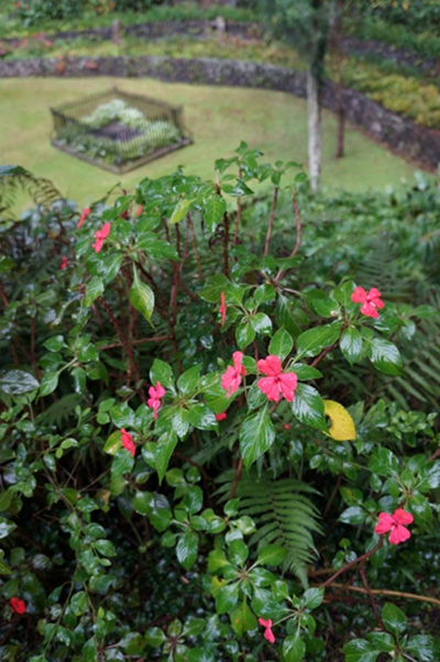 DSC00383.JPG
