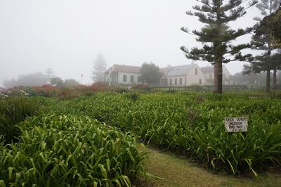 DSC00416.JPG