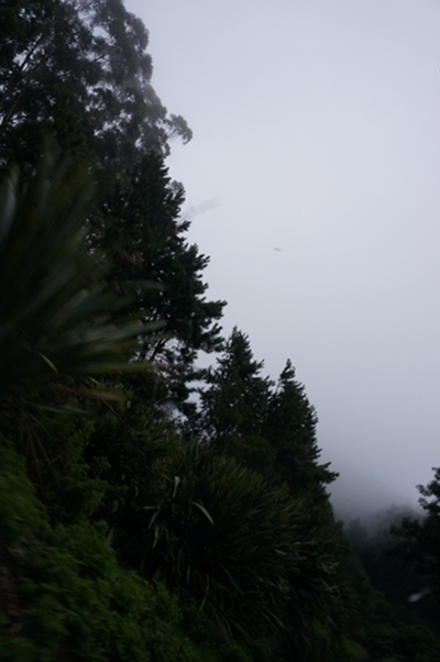 DSC00469.JPG