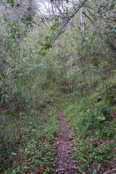DSC00992.JPG