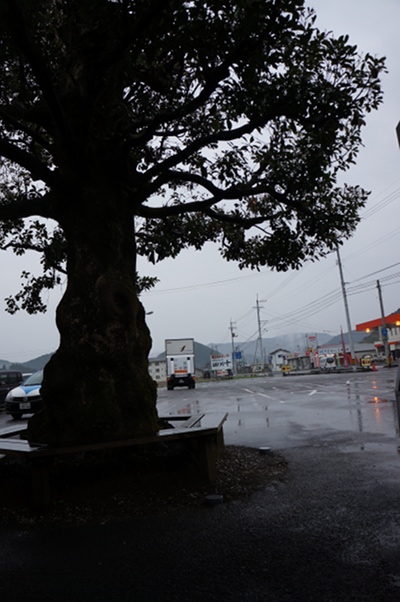 DSC01053.JPG