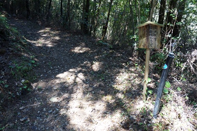 DSC01295.JPG