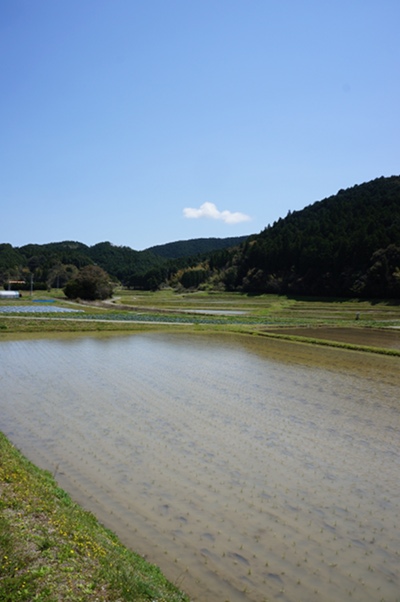 DSC01300.JPG