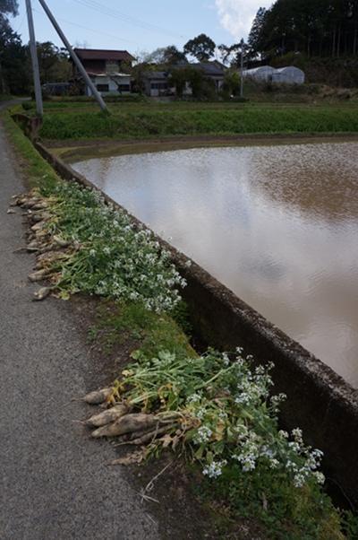 DSC01307.JPG