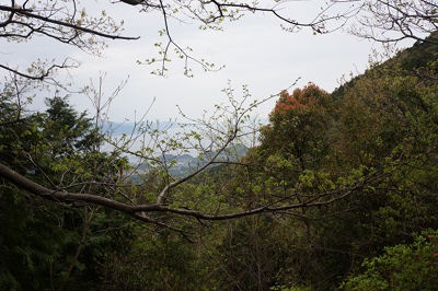 DSC01369.JPG