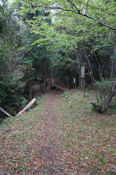 DSC01370.JPG