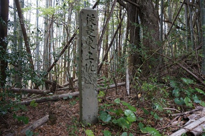 DSC01372.JPG