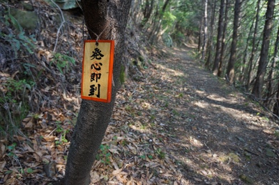 DSC01489.JPG