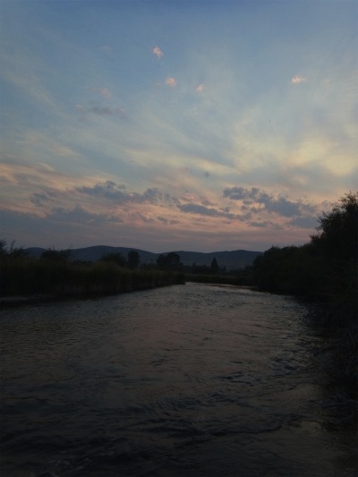 sRIMG0249.jpg