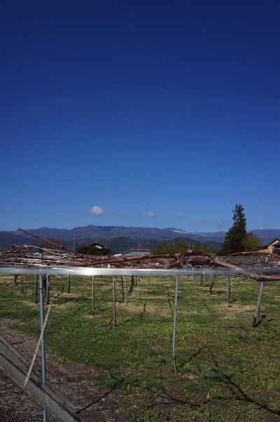 sDSC02499.jpg