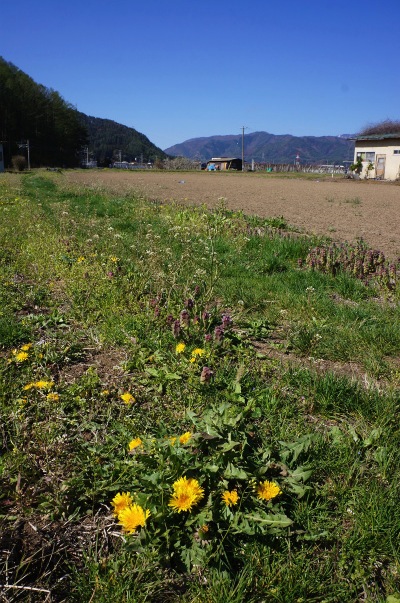 sDSC02503.jpg
