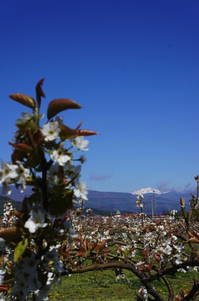 sDSC02505.jpg