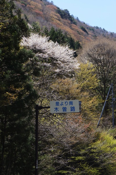sDSC02522.jpg