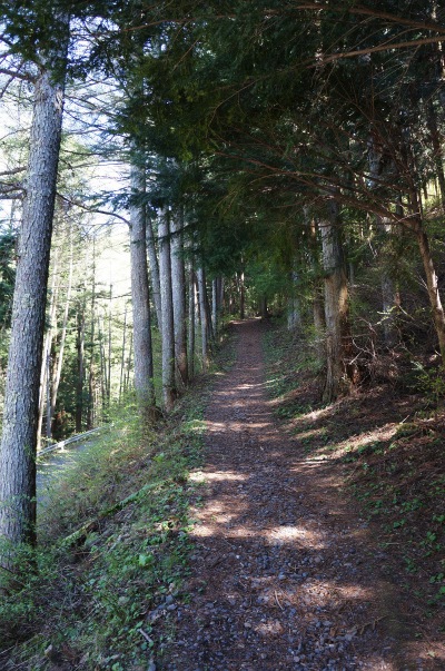 sDSC02572.jpg