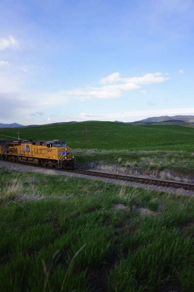 sDSC03660.jpg