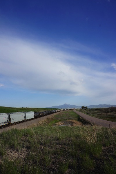 sDSC03675.jpg