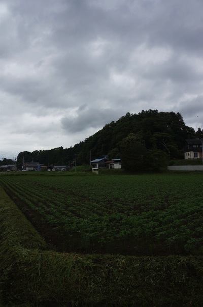 sDSC01167.jpg