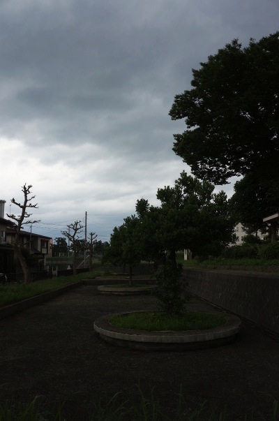 sDSC01255.jpg