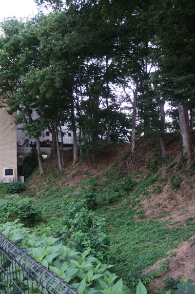 sDSC01263.jpg