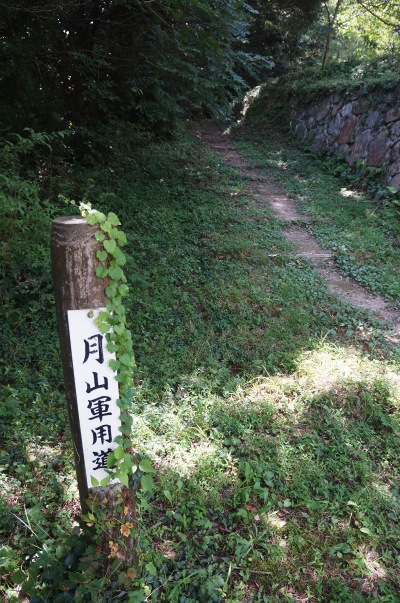 sDSC00281.jpg