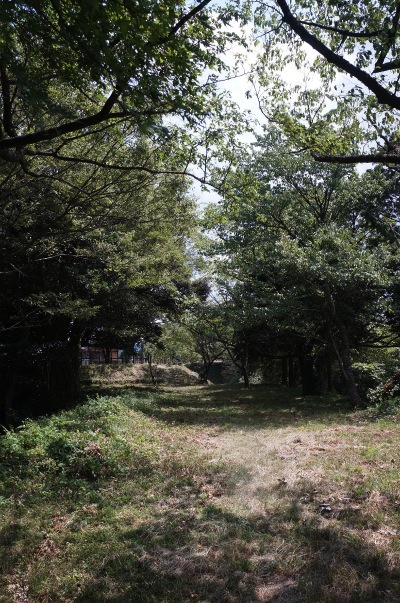 sDSC00295.jpg