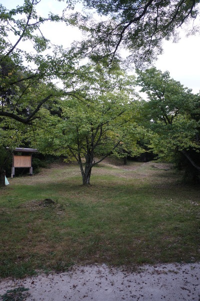 sDSC00310.jpg