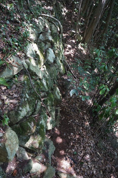 sDSC00322.jpg