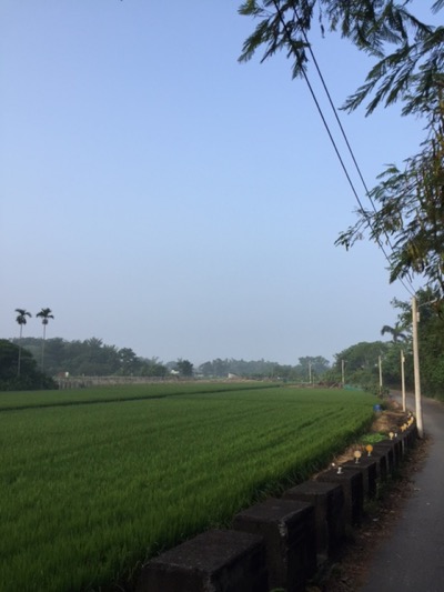 xxIMG_4690.jpg