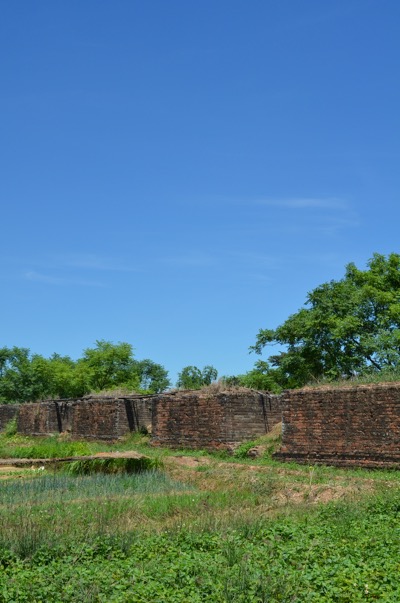 xxDSC_7350.jpg