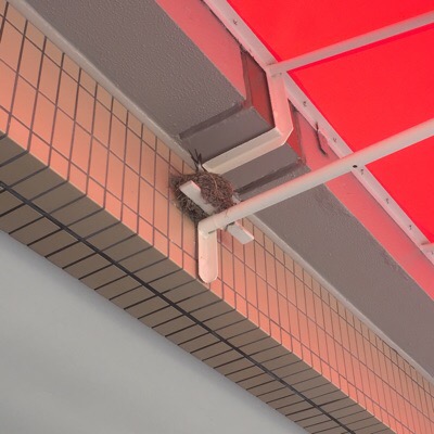 image1.JPG