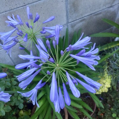 image1.JPG