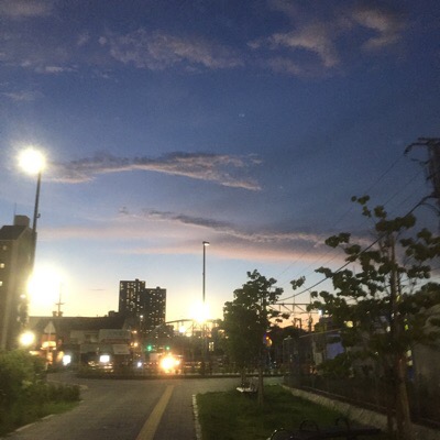 image1.JPG