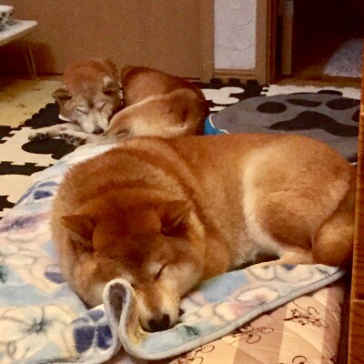 image1.jpeg