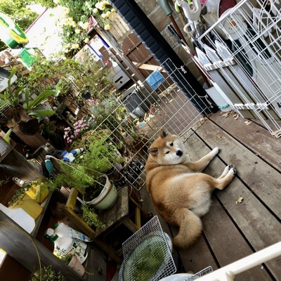 image1.jpeg