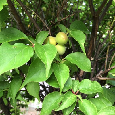 image1.jpeg