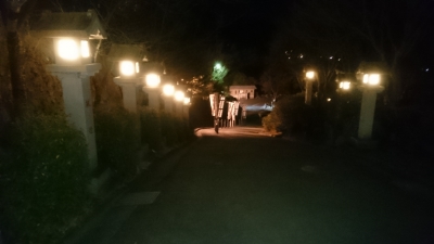 2017.1.1_常陸国出雲大社参道