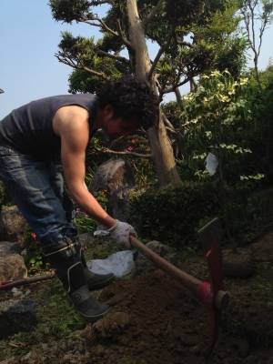 シロボウシB