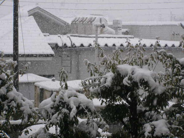 snow130115