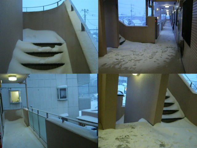 snow140208.1