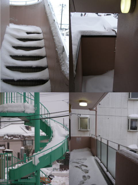 snow140214.1