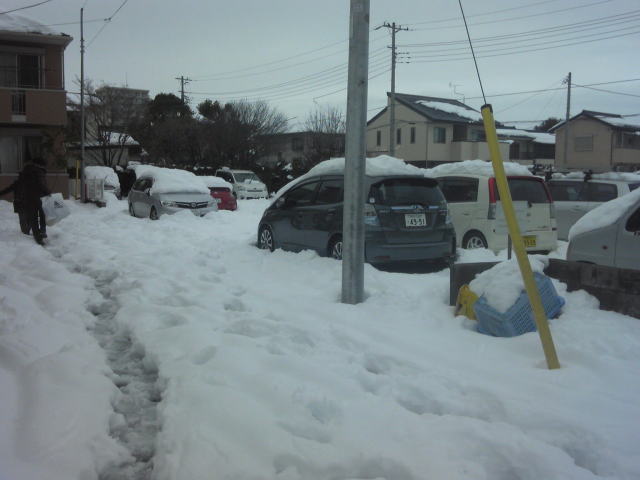 snow140214.4