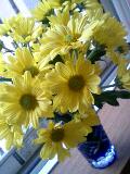 20061019_99569.jpg