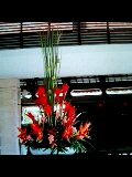 080220_1202~0002-0001-0001.jpg