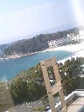080321_1541~0001-0001.jpg