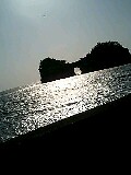 080321_1605~0001-0001.jpg