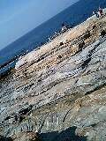 080322_1014~0001-0001.jpg