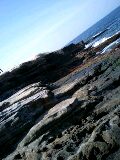 080322_1017~0002-0001.jpg