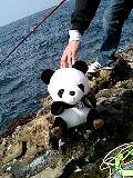 080322_1216~0001-0001.jpg