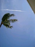 080506_1355~0001-0001.jpg